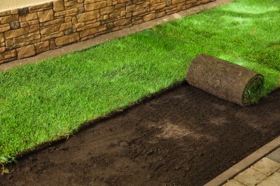 Lawn Installation