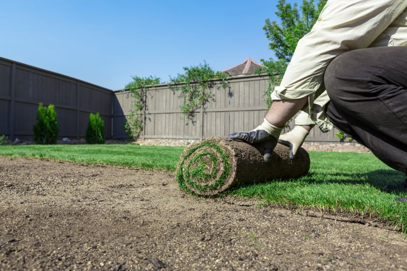 Cost of Lawn Installation — Cost of Lawn Installation
