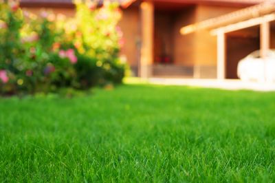 Cost of Lawn Installation — Cost of Lawn Installation