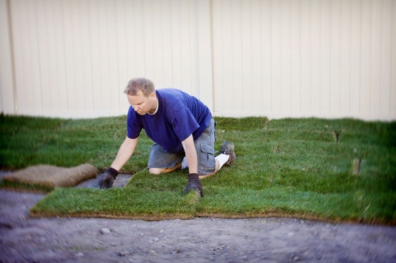 Fescue Sod Installation in Ventura County, CA