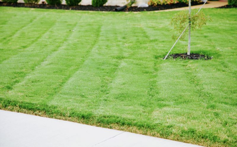 Completed Lawn